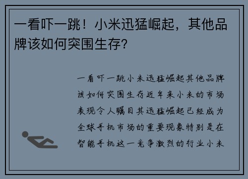 一看吓一跳！小米迅猛崛起，其他品牌该如何突围生存？